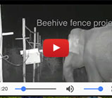 beehive-vid beehive-vid