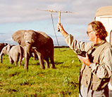 IDH-Amboseli IDH-Amboseli