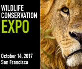 WCN Expo WCN Expo